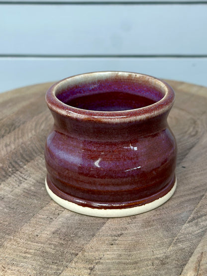 Succulent Vessel