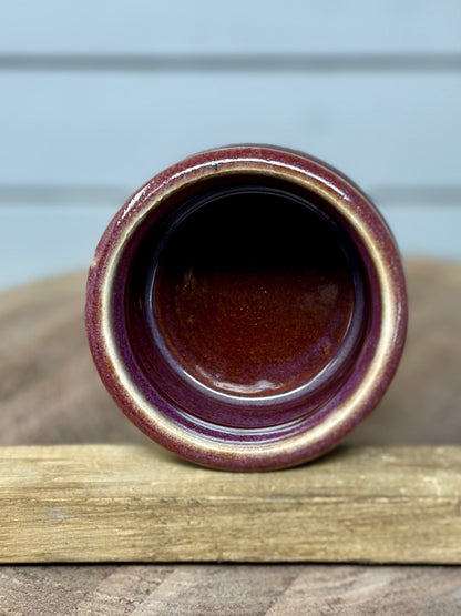 Succulent Vessel
