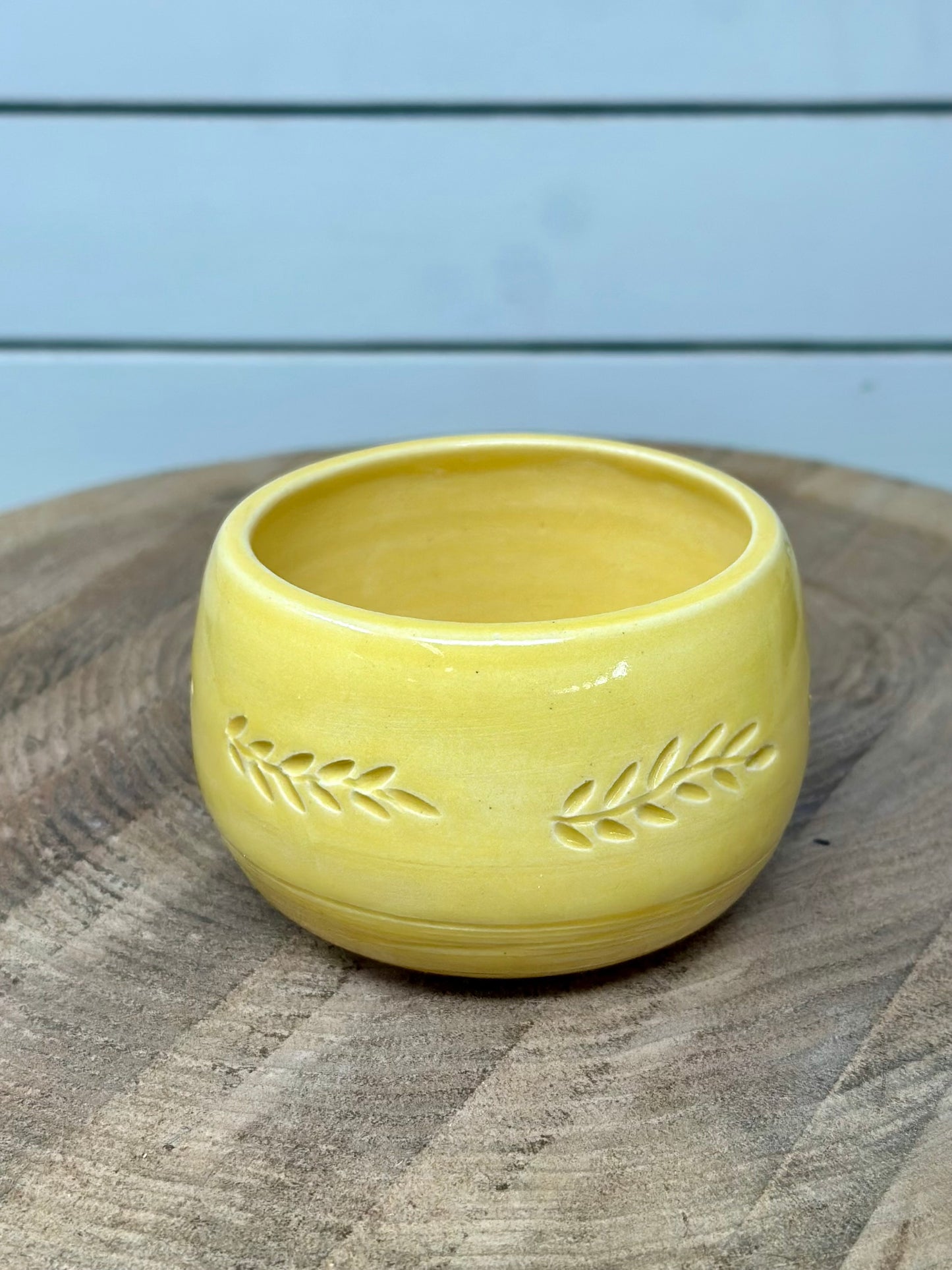 Carved Succulent Vessel