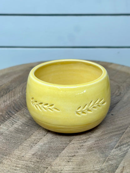 Carved Succulent Vessel