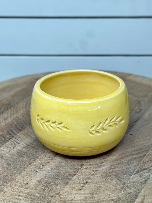 Carved Succulent Vessel