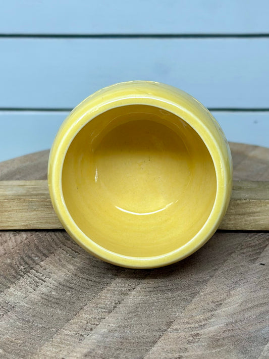 Carved Succulent Vessel