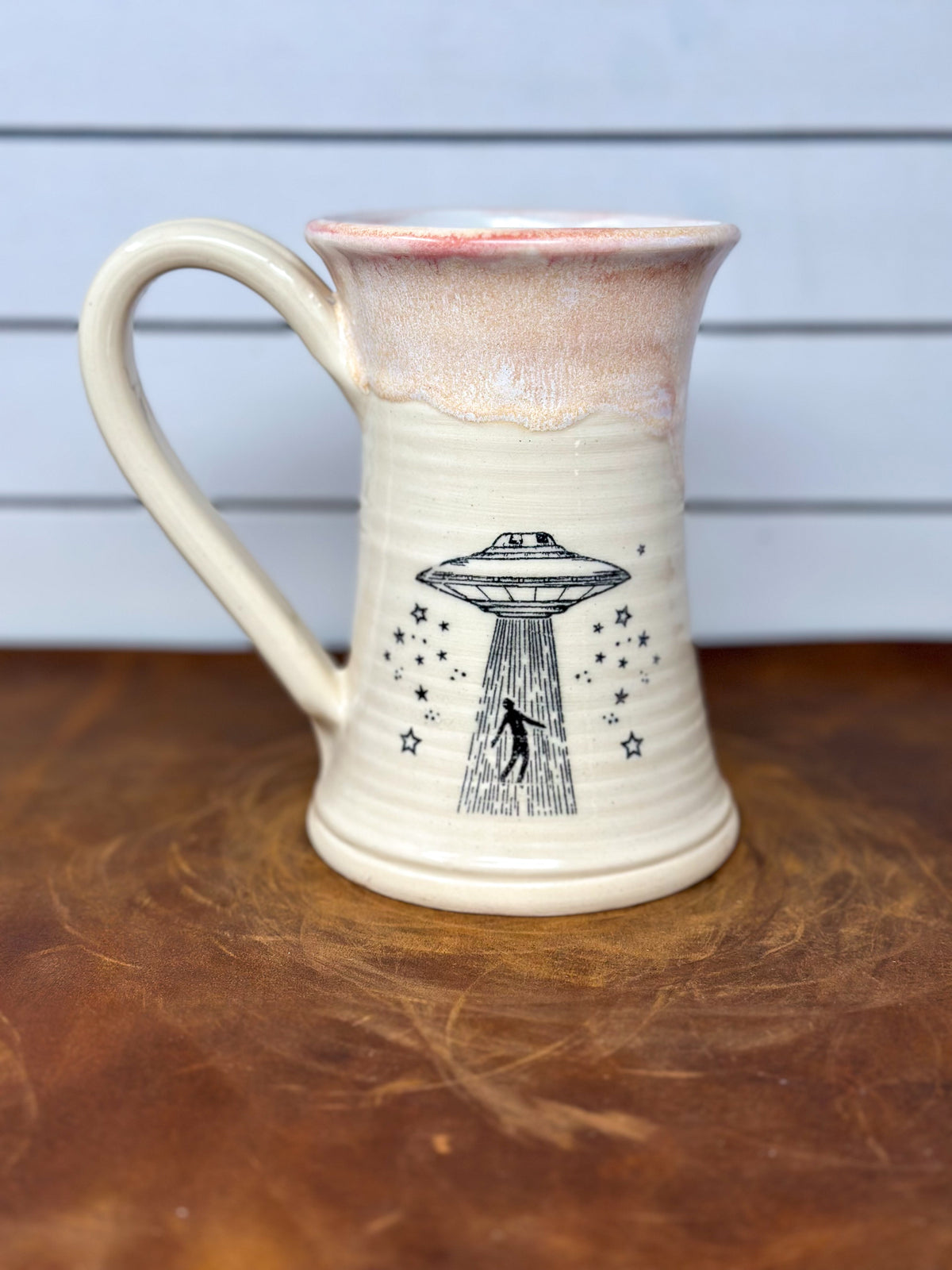 UFO Abduction Mug